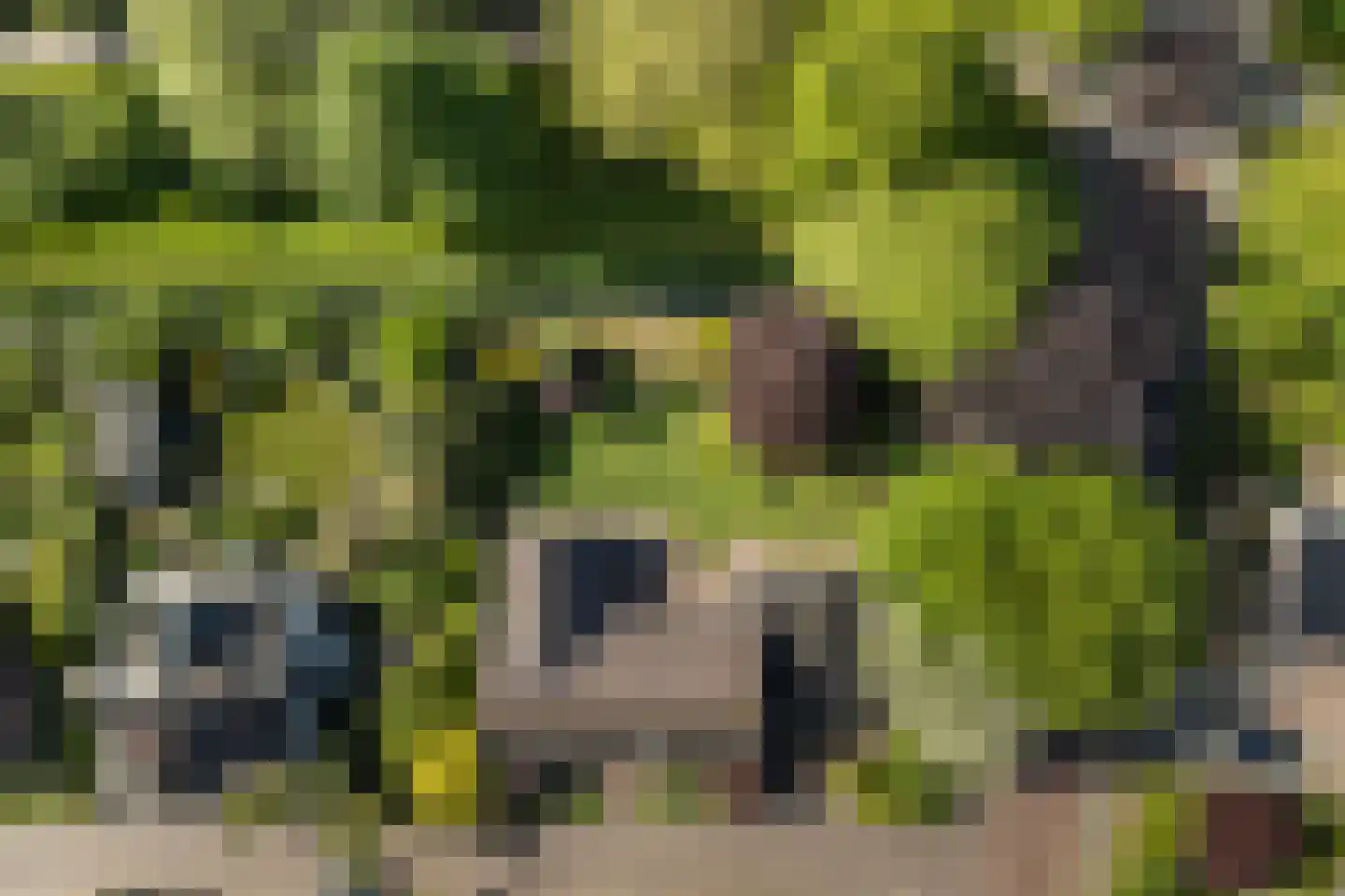 De Draf 2 Dronten thumbnail 48