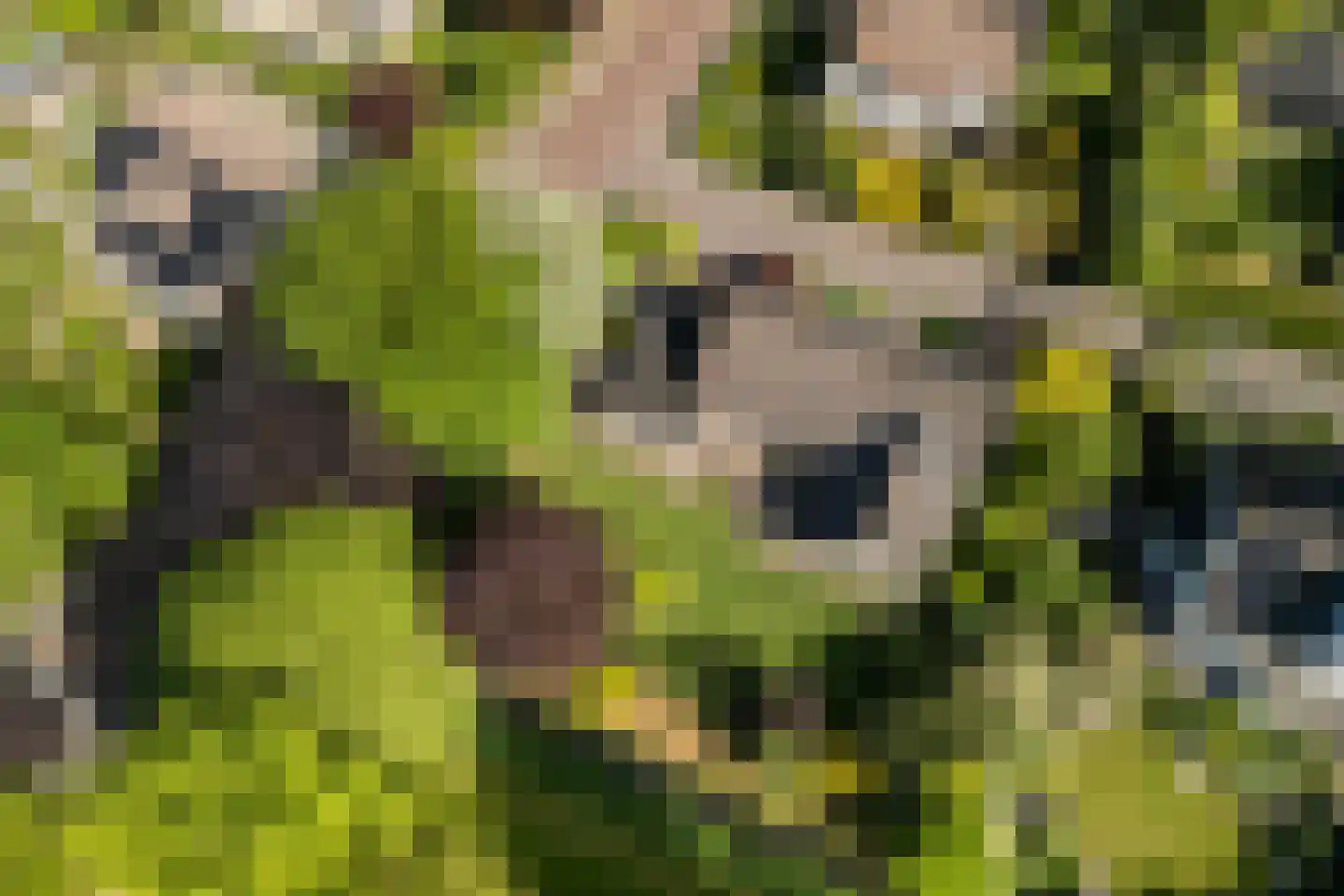 De Draf 2 Dronten thumbnail 49