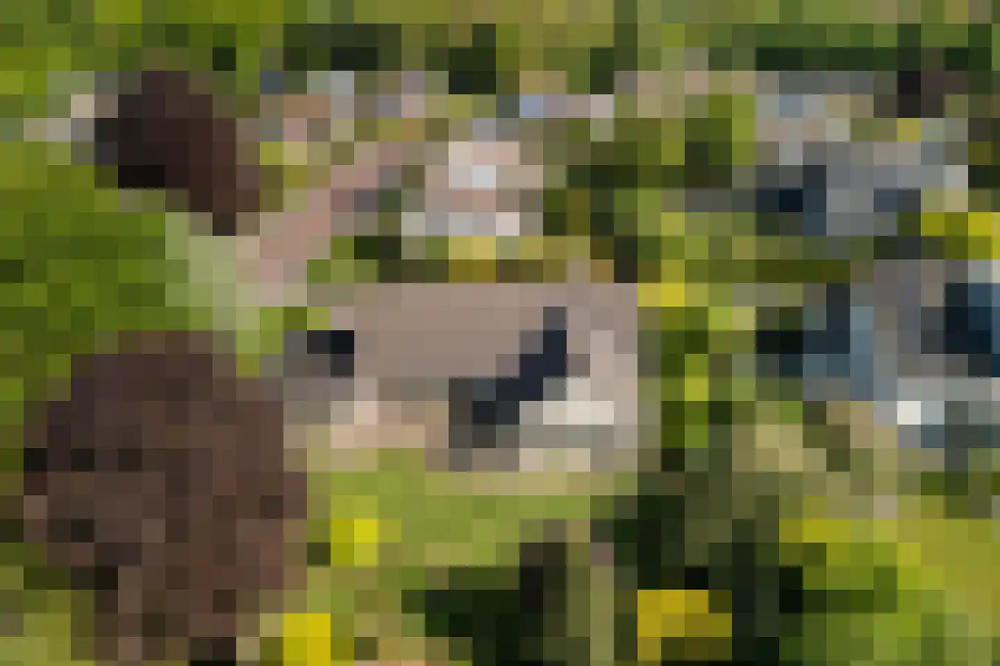 De Draf 2 Dronten thumbnail 50