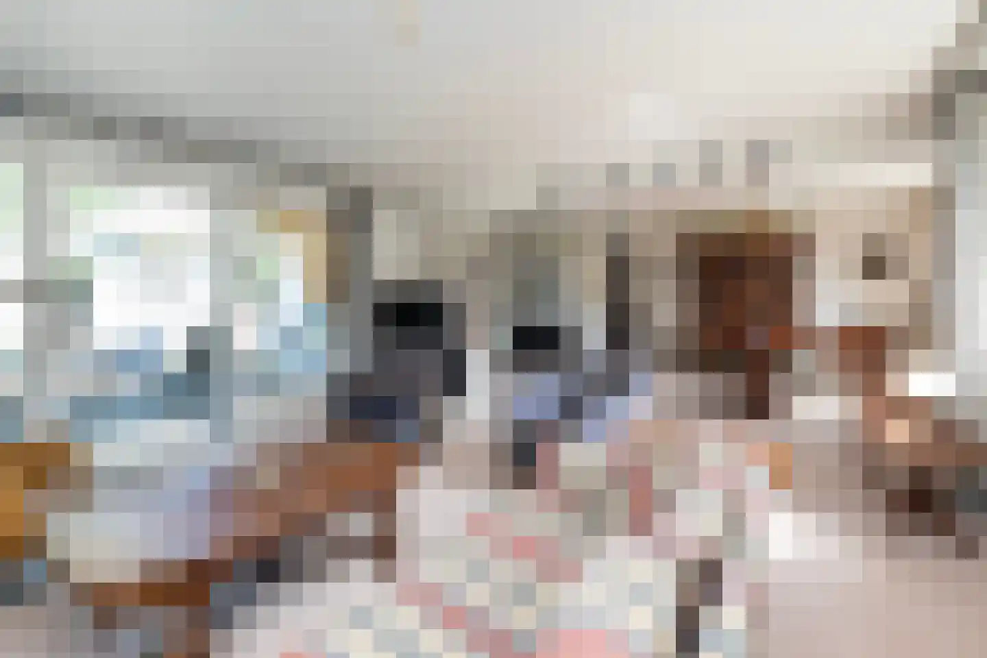 De Draf 2 Dronten thumbnail 8