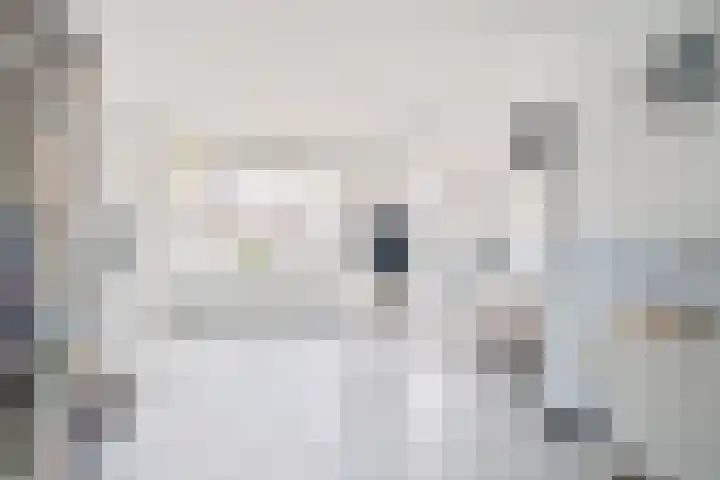 De Drainhaak 18 Swifterbant thumbnail 10
