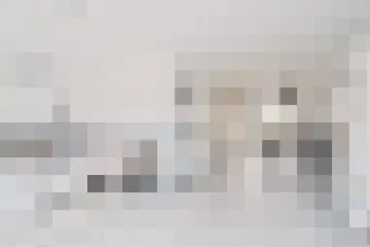 De Drainhaak 18 Swifterbant thumbnail 12