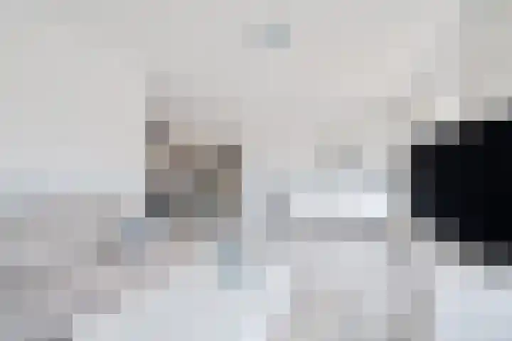 De Drainhaak 18 Swifterbant thumbnail 13