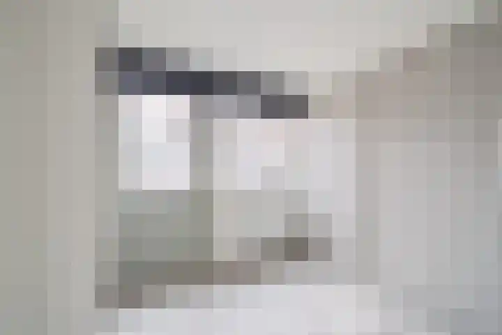 De Drainhaak 18 Swifterbant thumbnail 20
