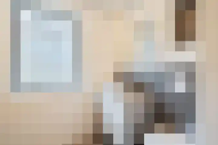 De Drainhaak 18 Swifterbant thumbnail 29