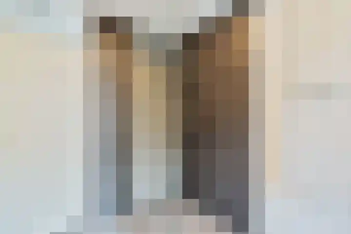 De Drainhaak 18 Swifterbant thumbnail 30