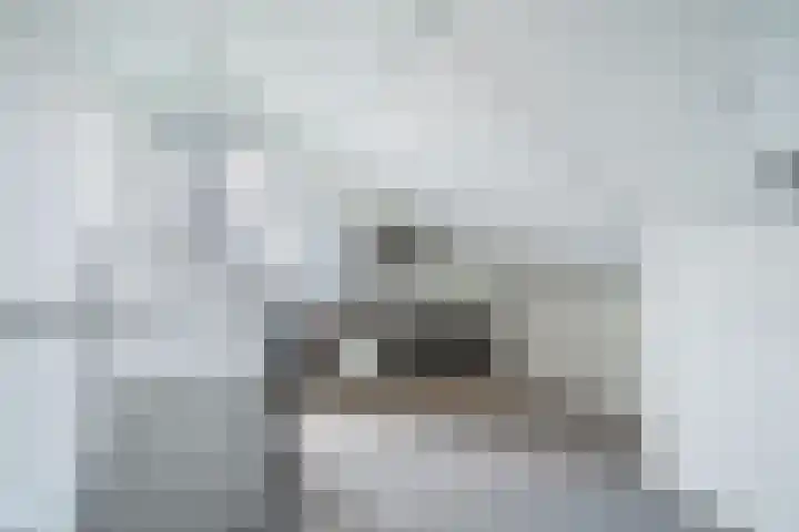 De Drainhaak 18 Swifterbant thumbnail 34