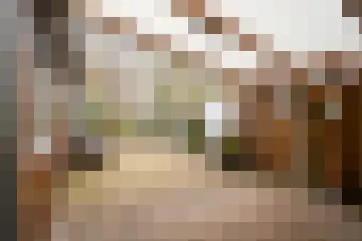 De Drainhaak 18 Swifterbant thumbnail 36