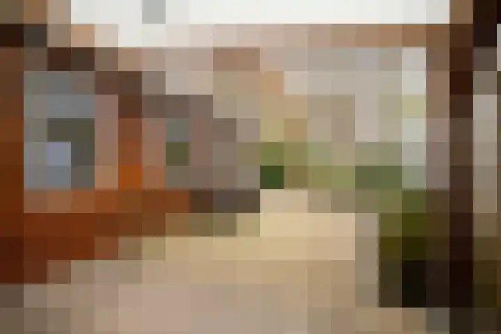 De Drainhaak 18 Swifterbant thumbnail 37