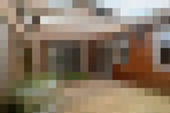 De Drainhaak 18 Swifterbant thumbnail 38