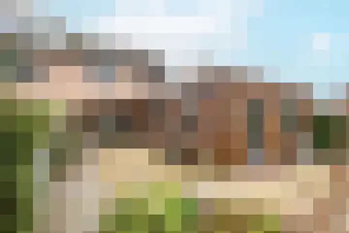 De Drainhaak 18 Swifterbant thumbnail 39
