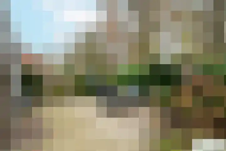 De Drainhaak 18 Swifterbant thumbnail 40