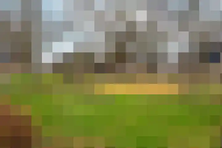 De Drainhaak 18 Swifterbant thumbnail 42