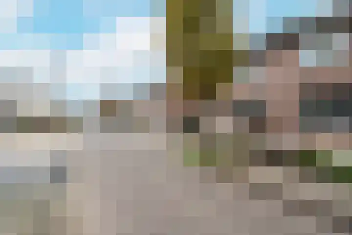 De Drainhaak 18 Swifterbant thumbnail 7