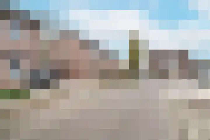 De Drainhaak 18 Swifterbant thumbnail 8