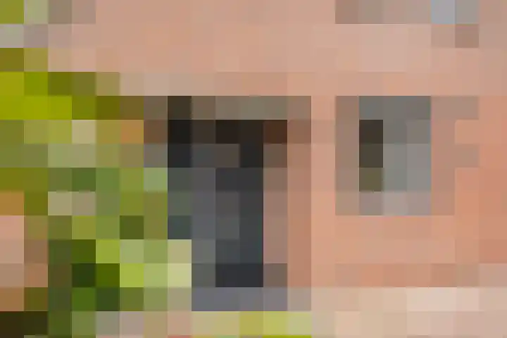 De Drainhaak 21 Swifterbant thumbnail 10
