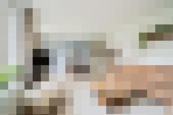 De Drainhaak 21 Swifterbant thumbnail 13