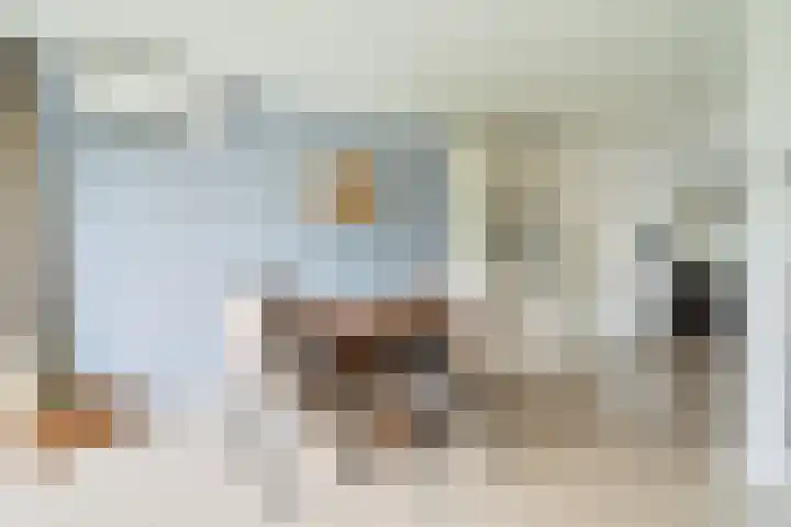 De Drainhaak 21 Swifterbant thumbnail 14