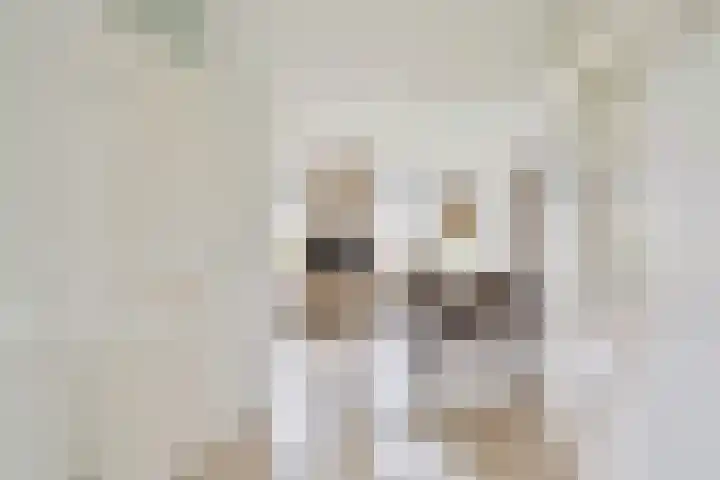 De Drainhaak 21 Swifterbant thumbnail 21