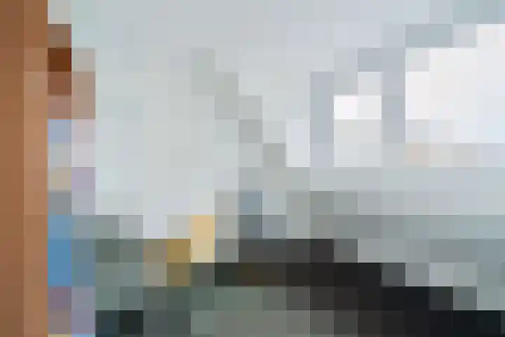 De Drainhaak 21 Swifterbant thumbnail 28