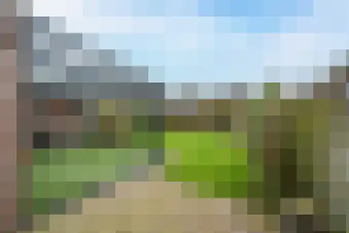 De Drainhaak 21 Swifterbant thumbnail 31