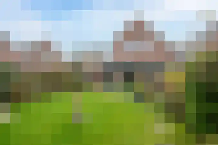 De Drainhaak 21 Swifterbant thumbnail 33