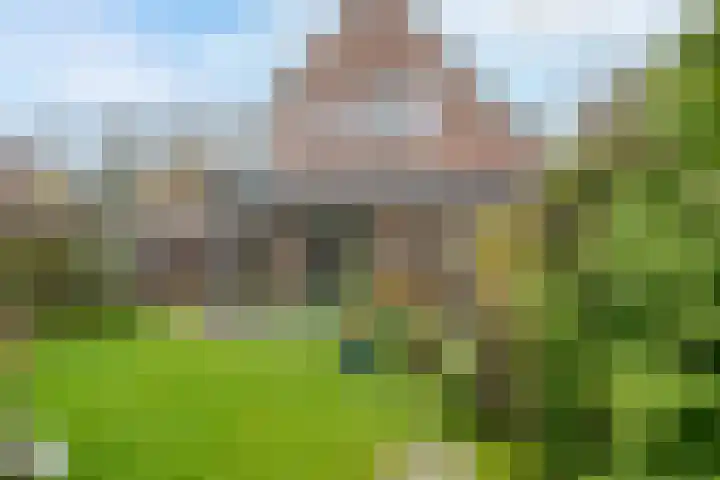 De Drainhaak 21 Swifterbant thumbnail 34