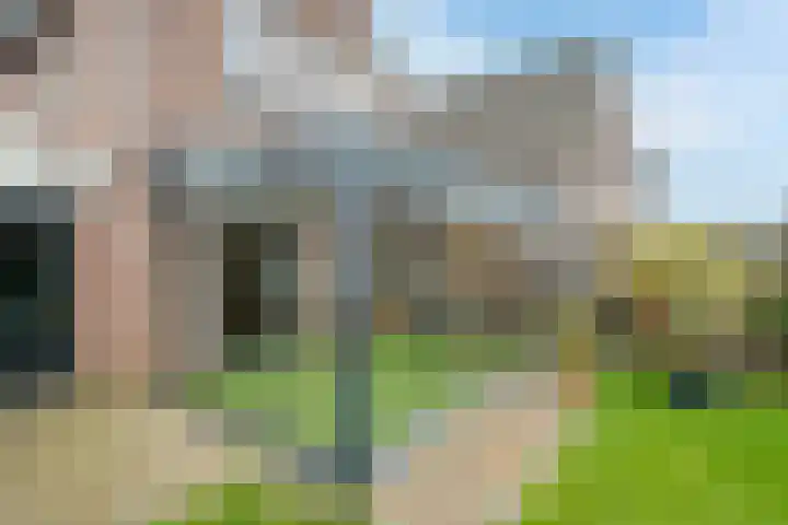 De Drainhaak 21 Swifterbant thumbnail 35