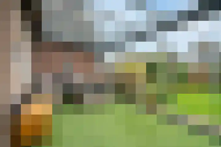 De Drainhaak 21 Swifterbant thumbnail 37