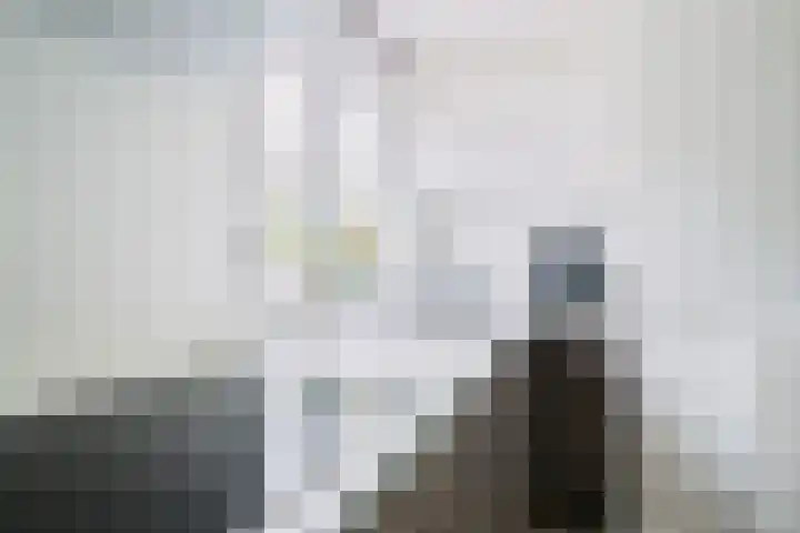 De Drainhaak 21 Swifterbant thumbnail 4