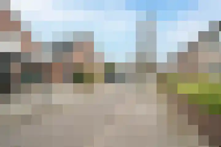 De Drainhaak 21 Swifterbant thumbnail 9