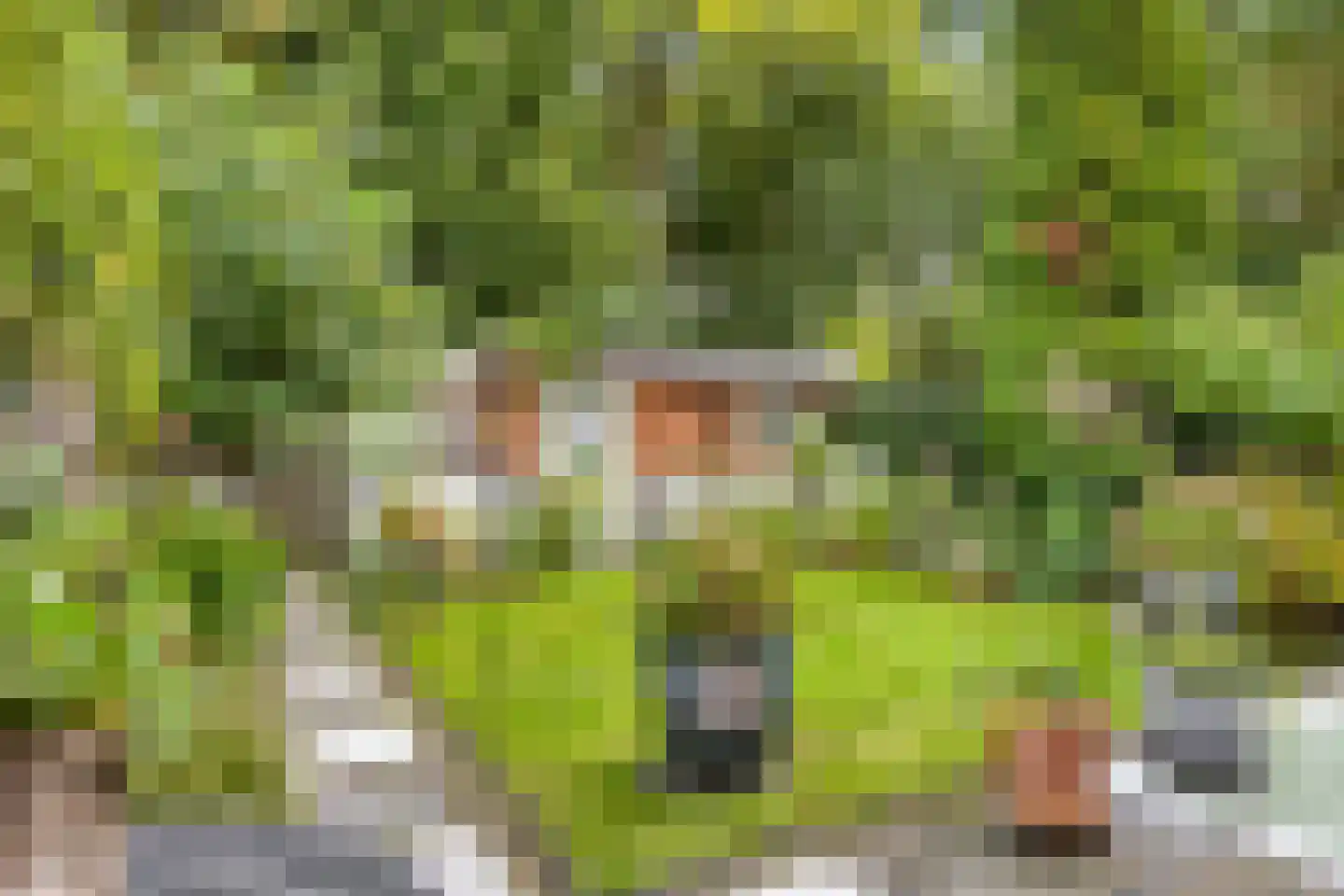 De Drainhaak 26 Swifterbant thumbnail 11