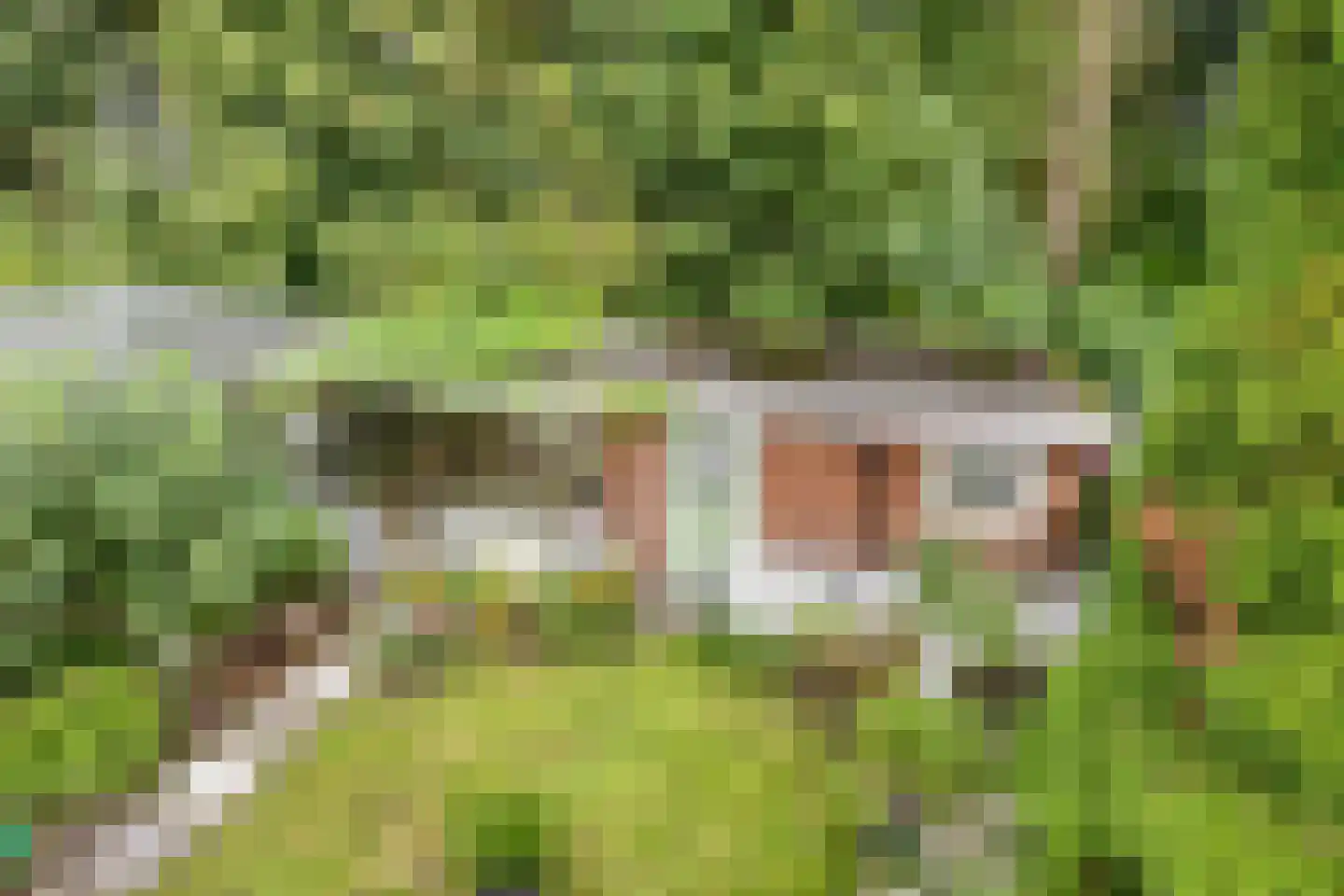 De Drainhaak 26 Swifterbant thumbnail 12