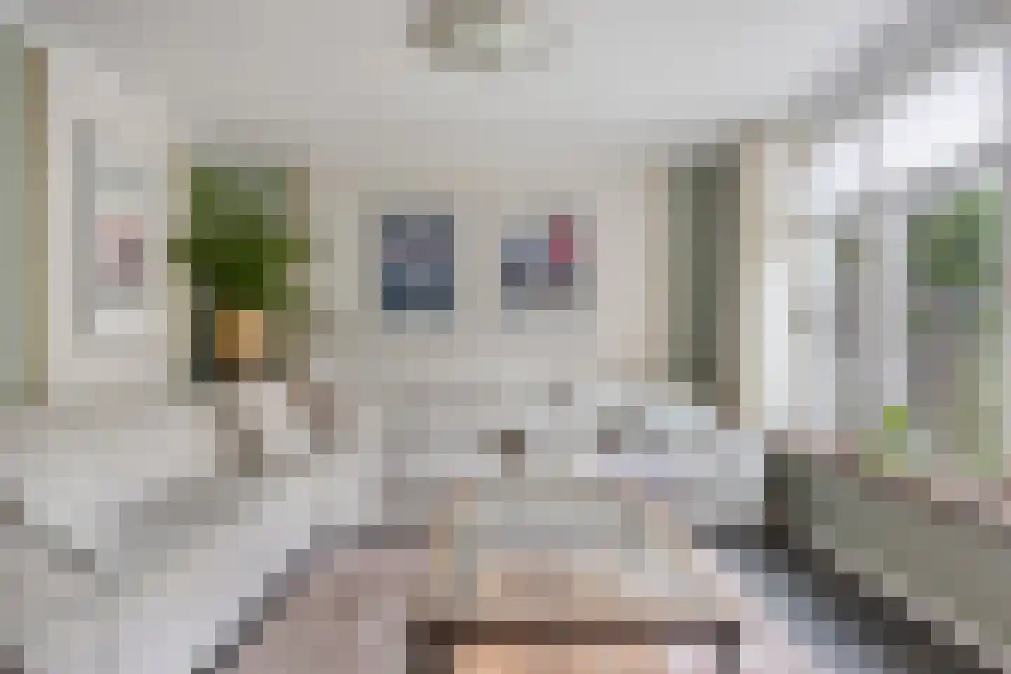 De Drainhaak 26 Swifterbant thumbnail 15