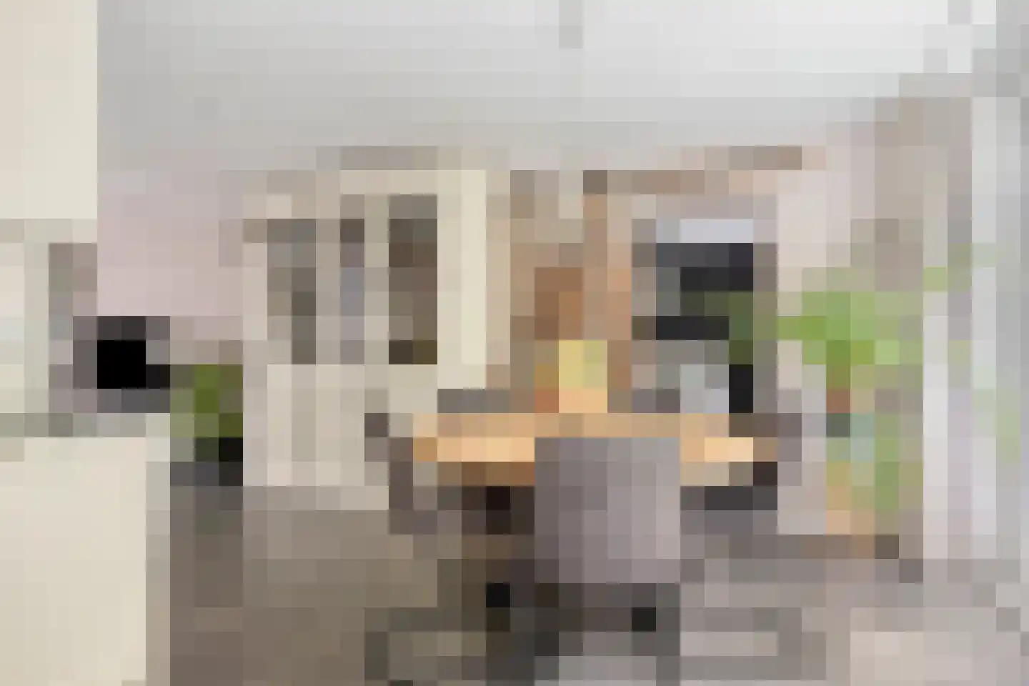 De Drainhaak 26 Swifterbant thumbnail 18