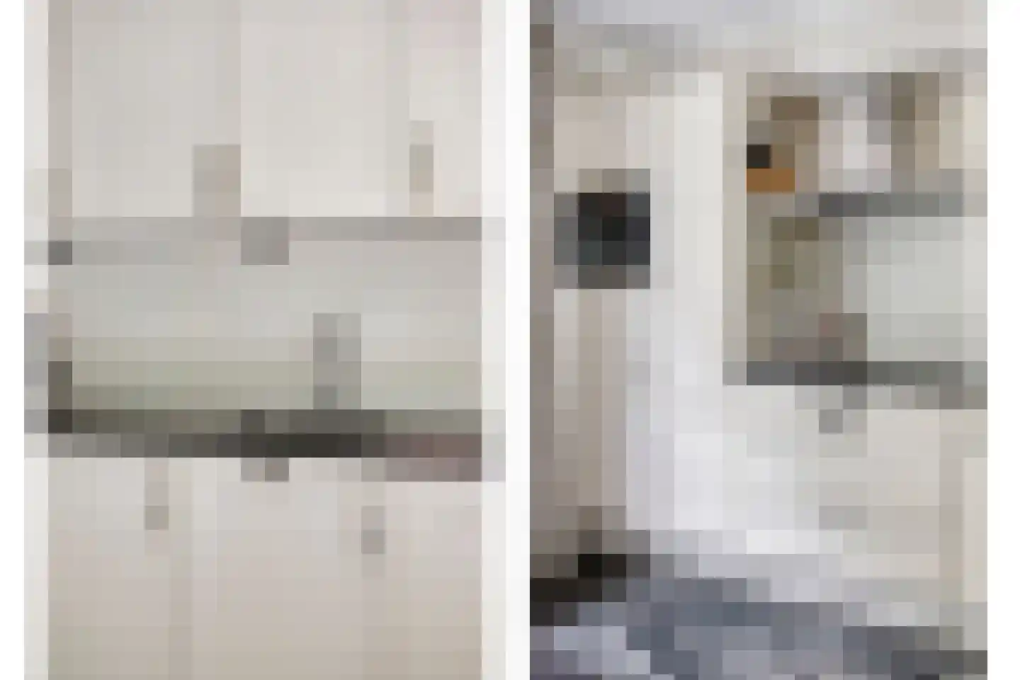De Drainhaak 26 Swifterbant thumbnail 21