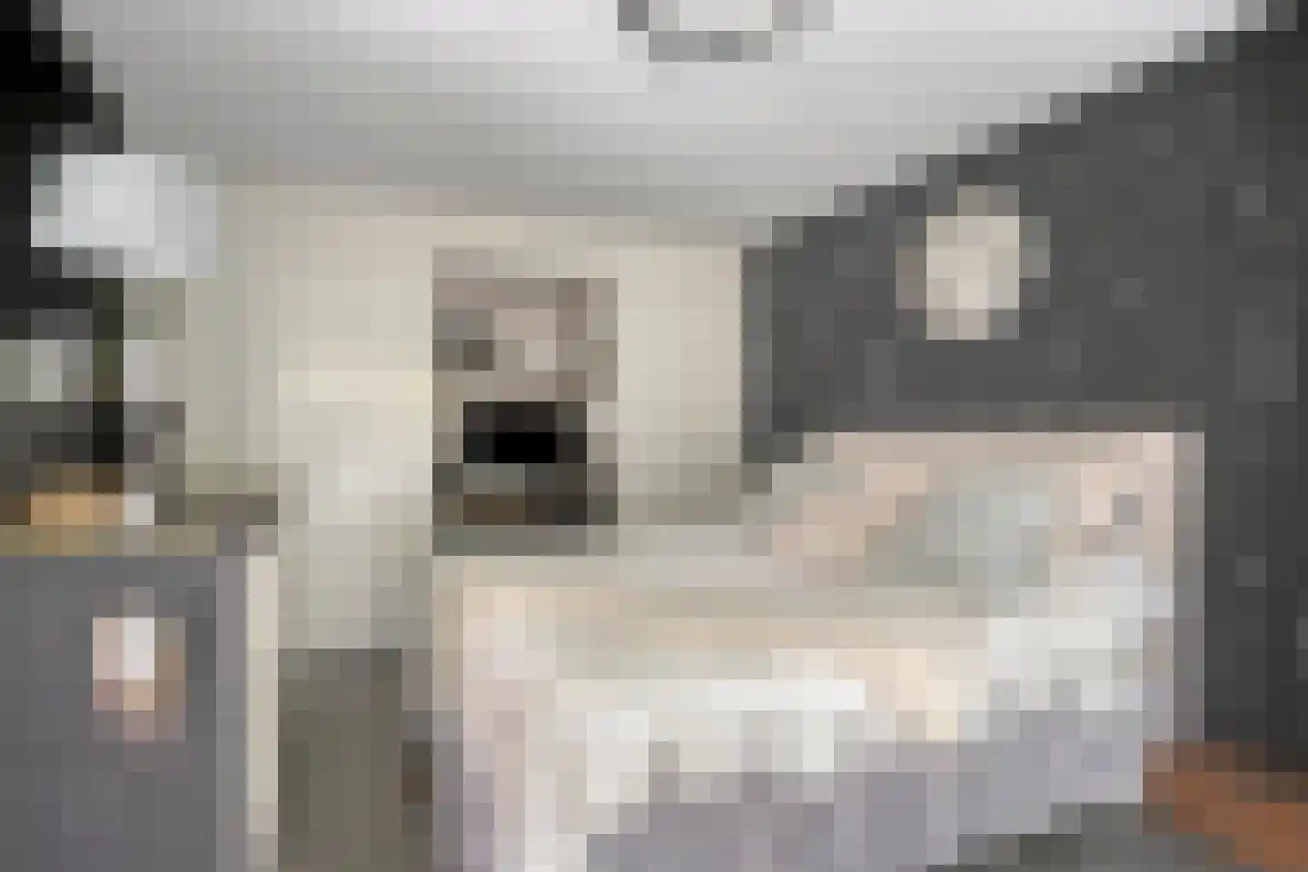 De Drainhaak 26 Swifterbant thumbnail 22