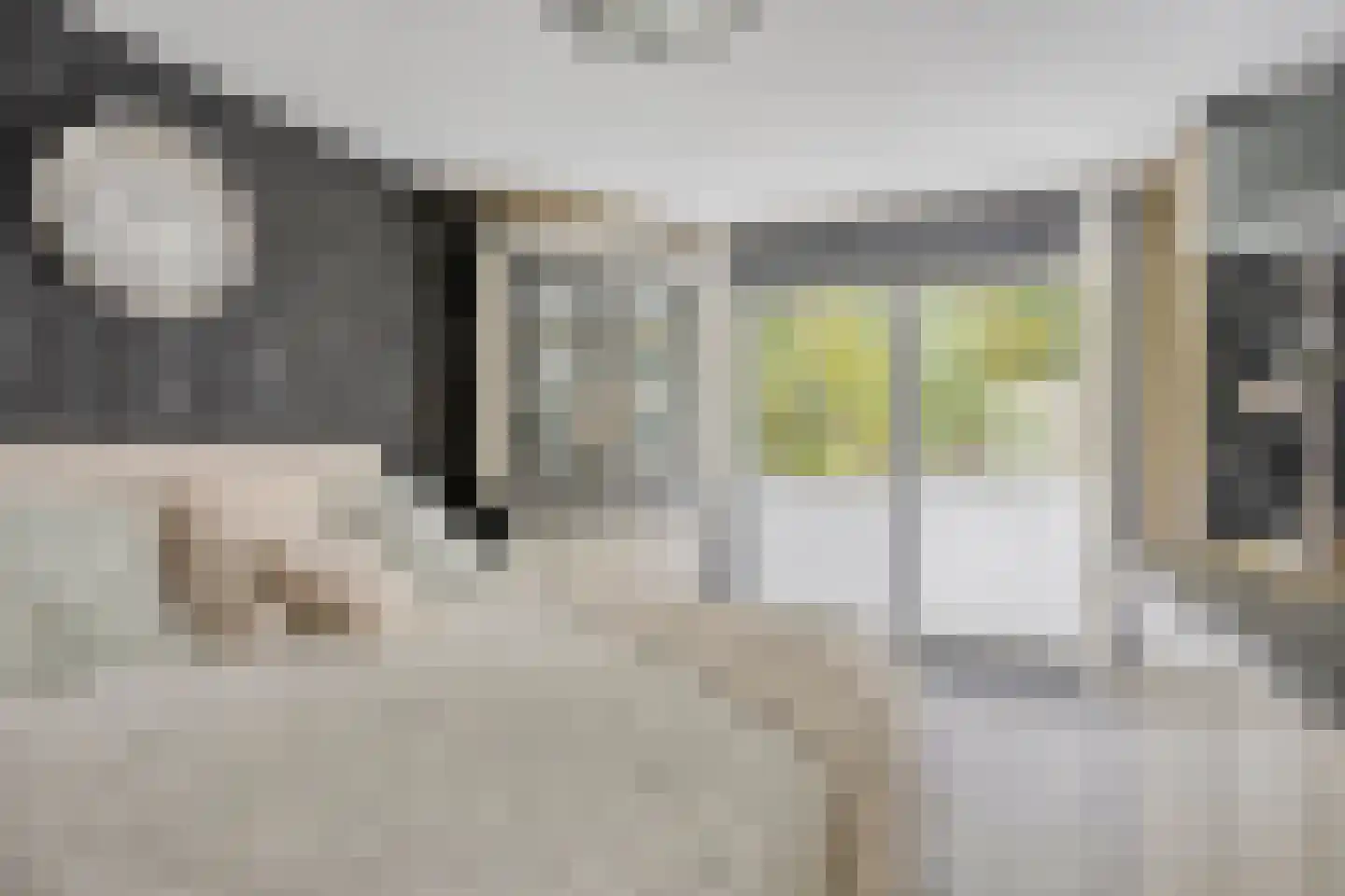 De Drainhaak 26 Swifterbant thumbnail 23