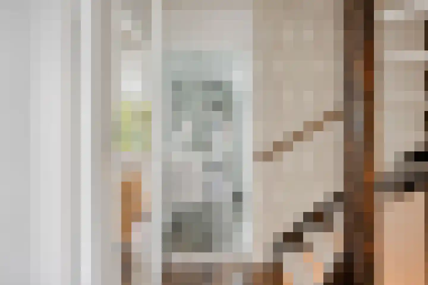De Drainhaak 26 Swifterbant thumbnail 26