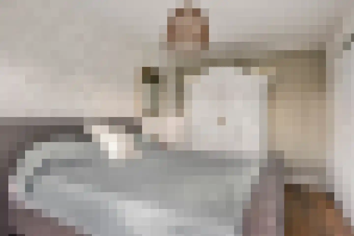 De Drainhaak 26 Swifterbant thumbnail 31