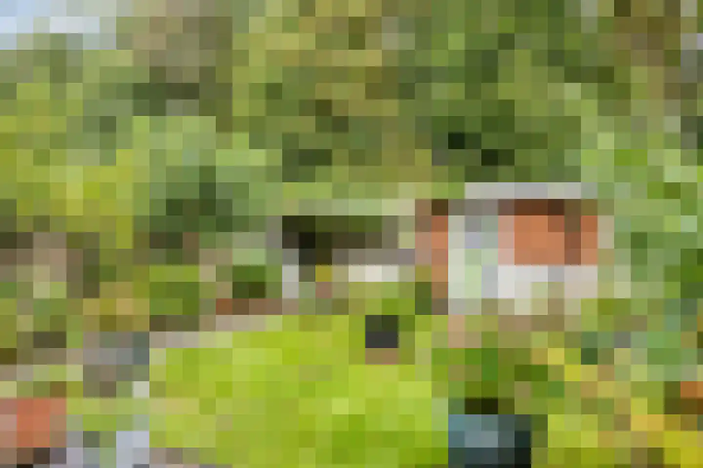 De Drainhaak 26 Swifterbant thumbnail 38