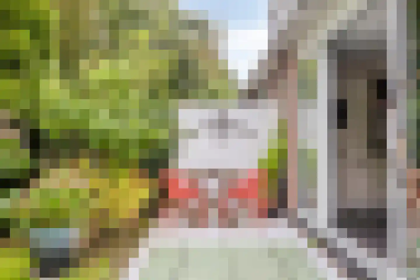 De Drainhaak 26 Swifterbant thumbnail 39