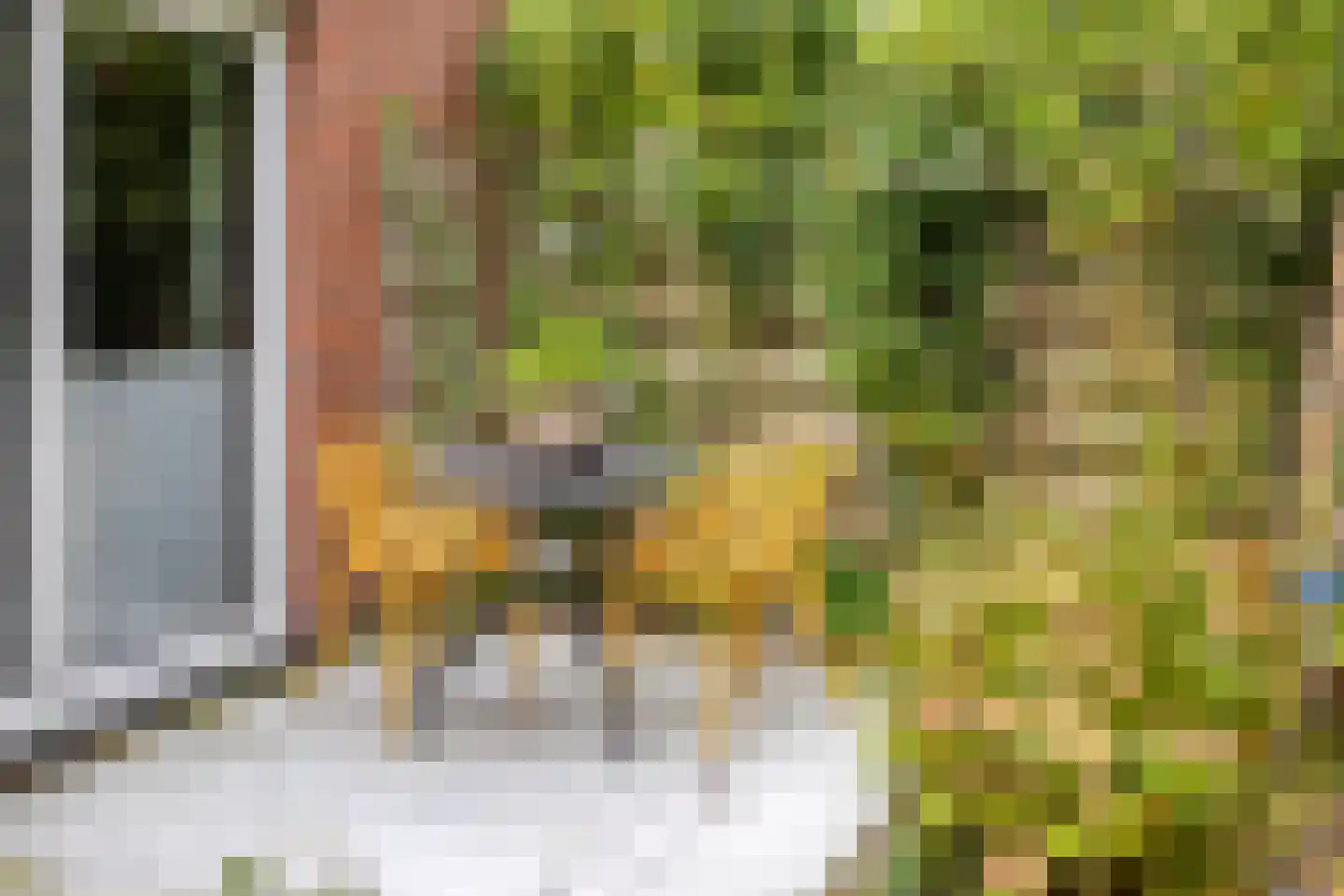 De Drainhaak 26 Swifterbant thumbnail 41