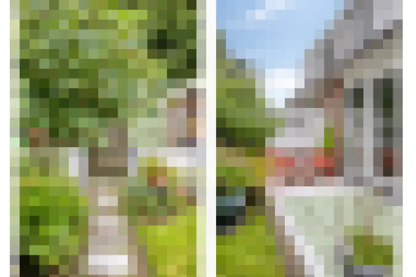 De Drainhaak 26 Swifterbant thumbnail 46