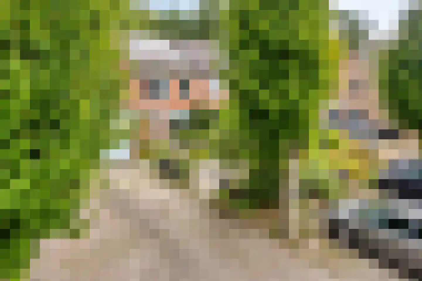 De Drainhaak 26 Swifterbant thumbnail 47
