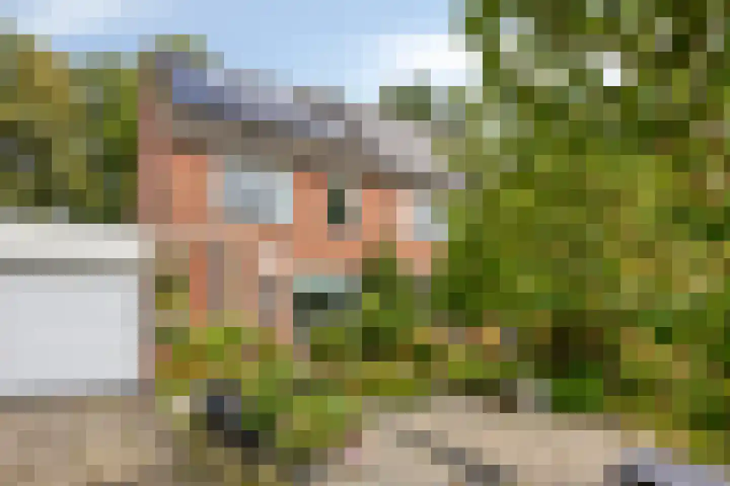 De Drainhaak 26 Swifterbant thumbnail 48