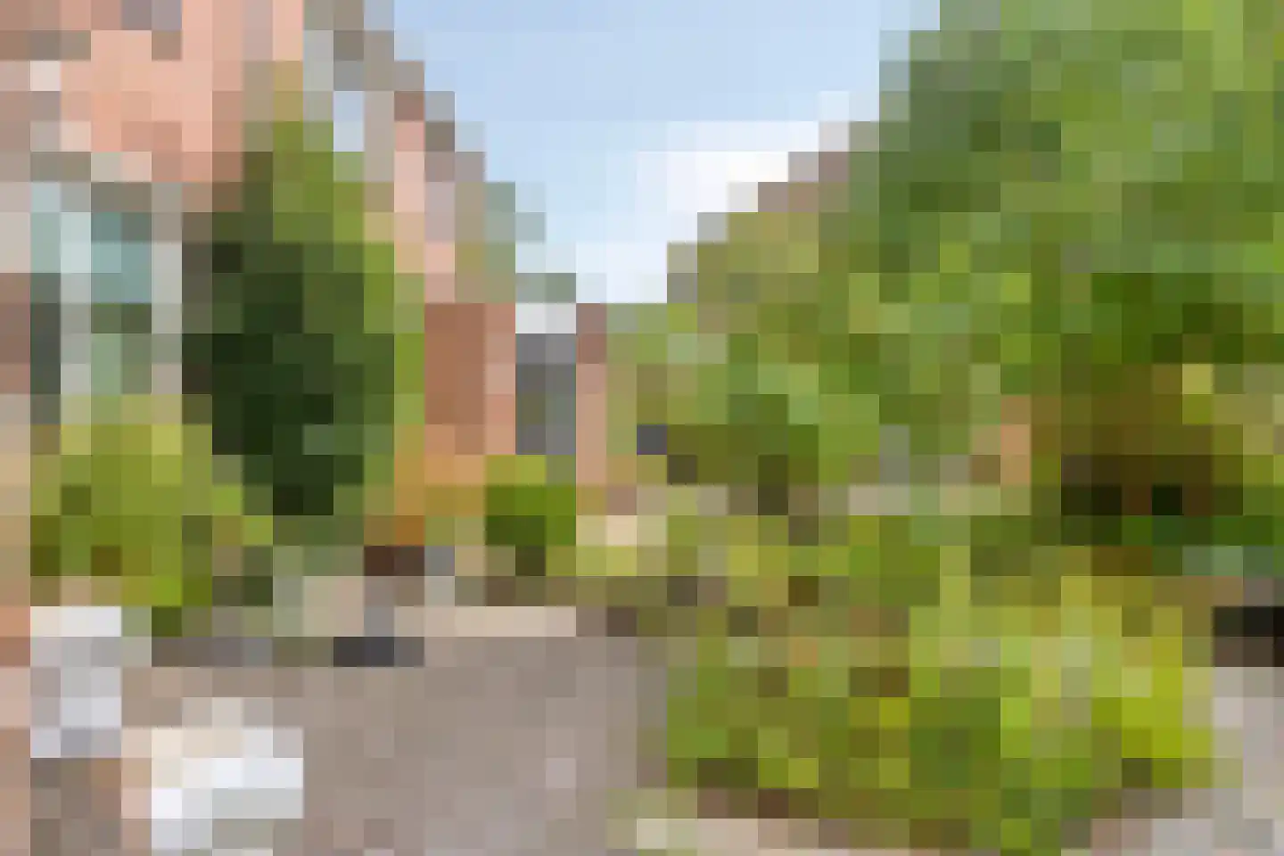 De Drainhaak 26 Swifterbant thumbnail 52