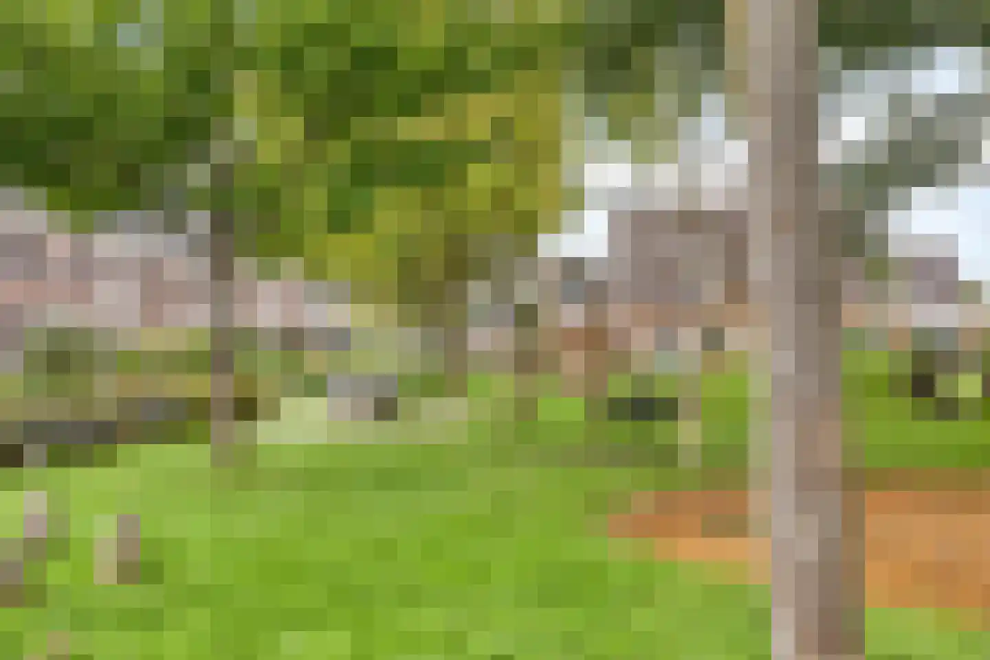 De Drainhaak 26 Swifterbant thumbnail 55