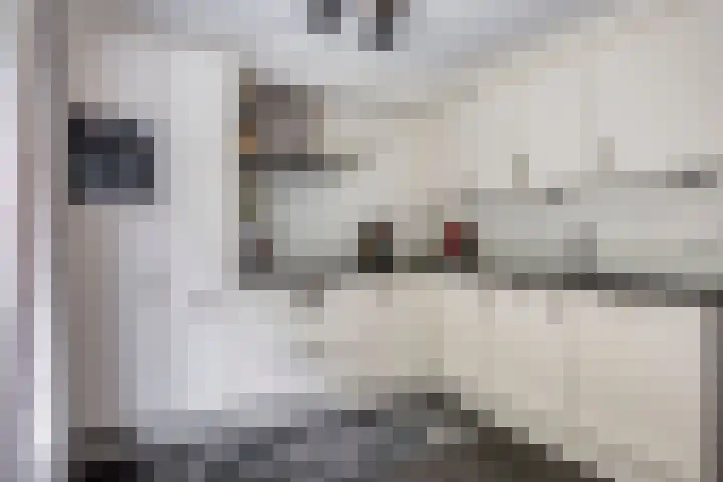 De Drainhaak 26 Swifterbant thumbnail 6