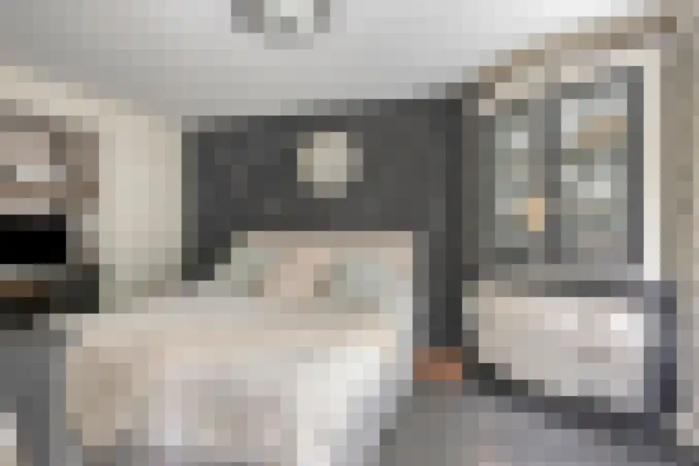 De Drainhaak 26 Swifterbant thumbnail 7